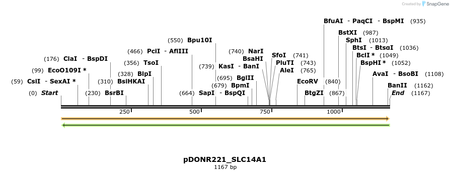 253314_map