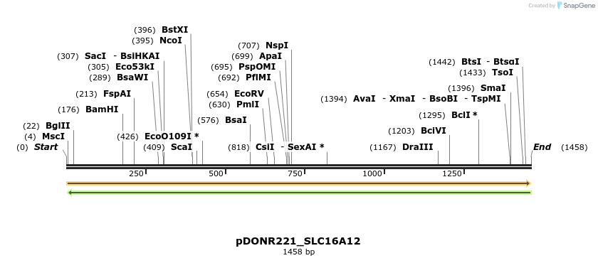 253316_map