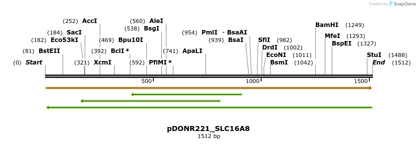253318_map