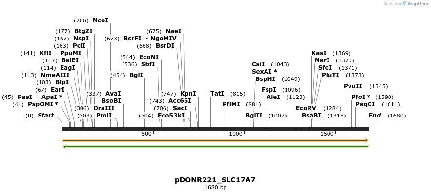 253320_map