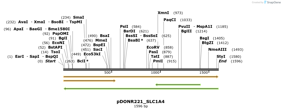 253324_map