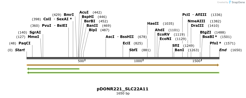 253326_map