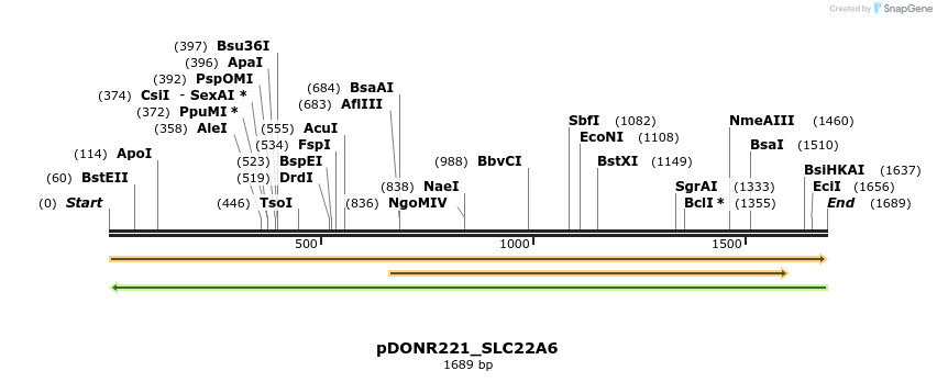 253330_map