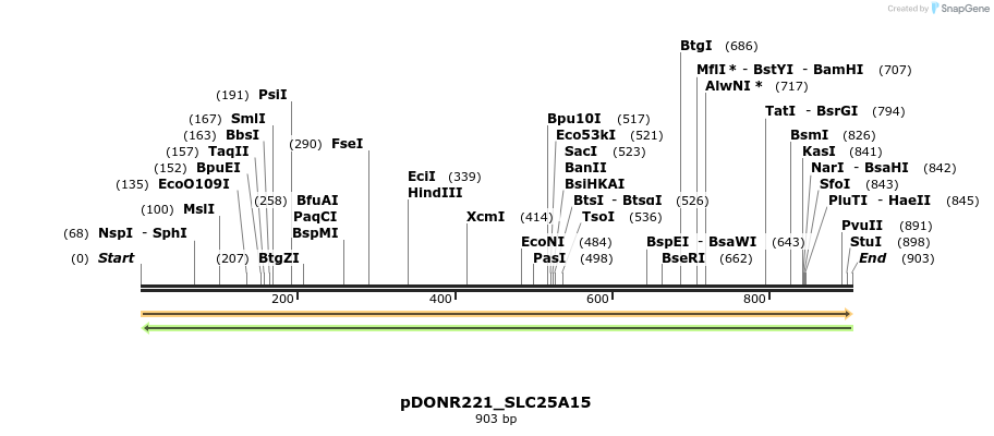 253334_map