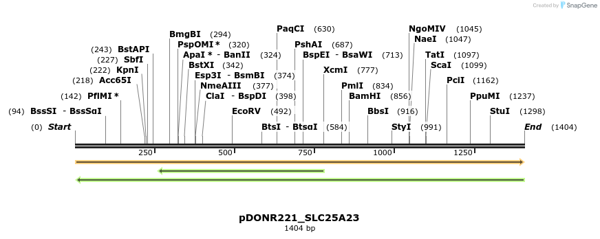 253336_map