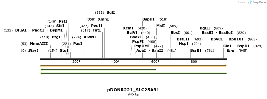 253338_map