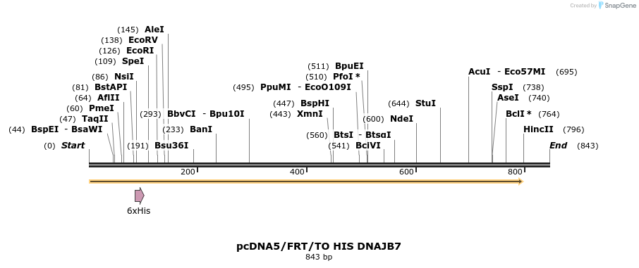 25334_map