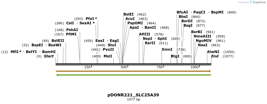 253340_map