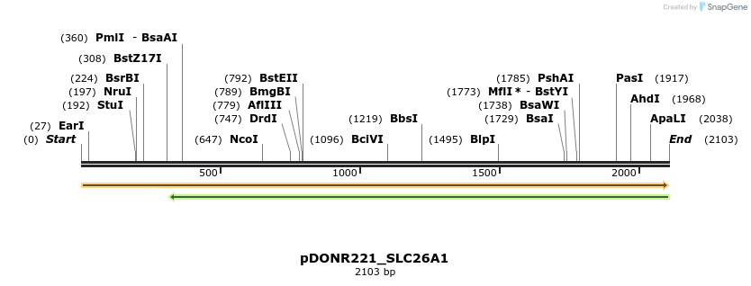 253344_map