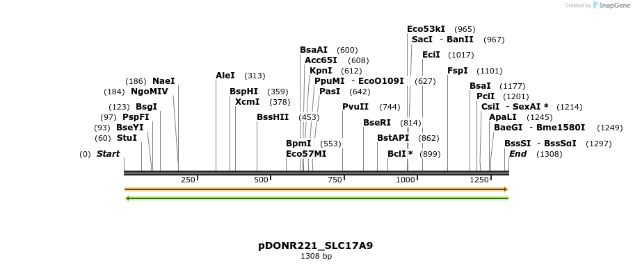 253346_map