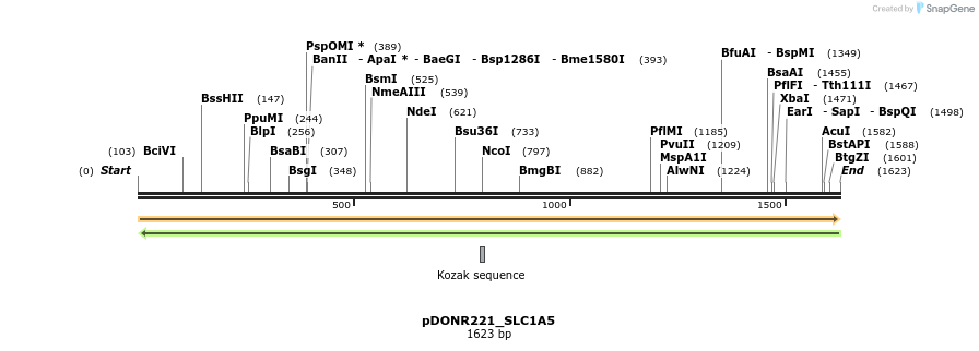 253348_map