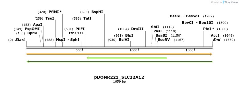 253350_map