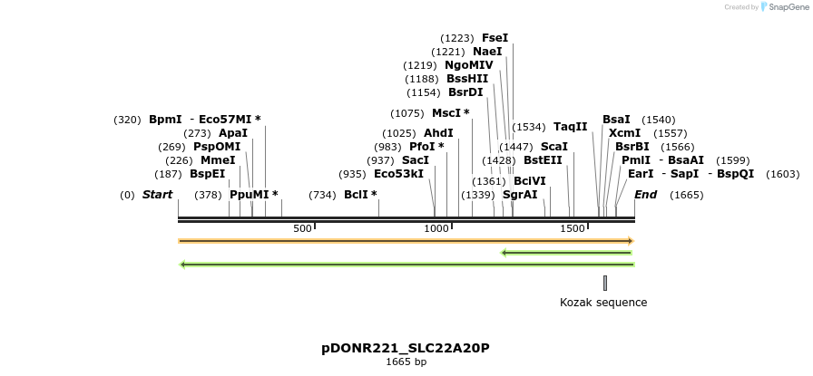 253352_map