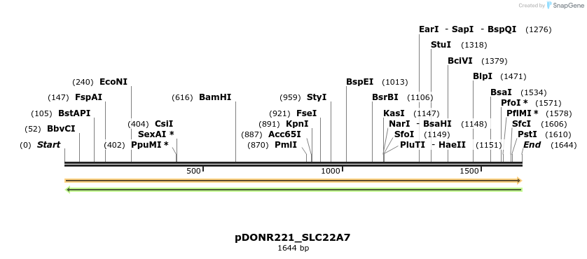253354_map