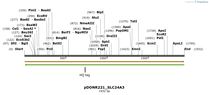 253356_map