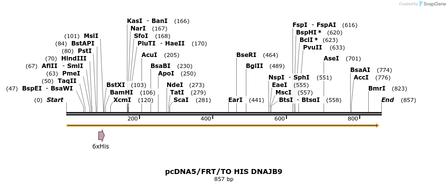 25336_map