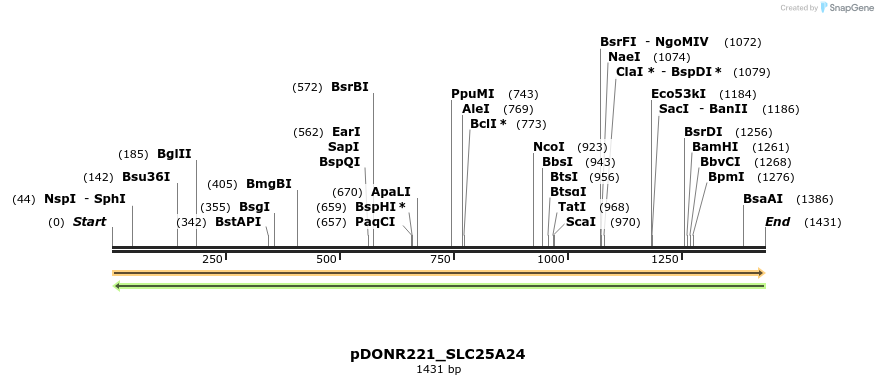 253360_map