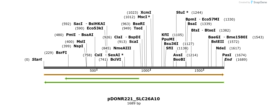 253368_map