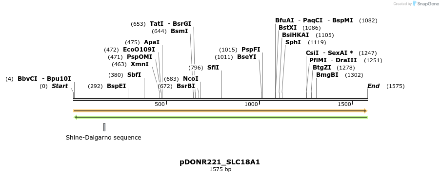 253370_map