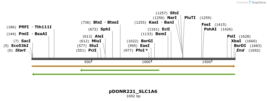 253372_map