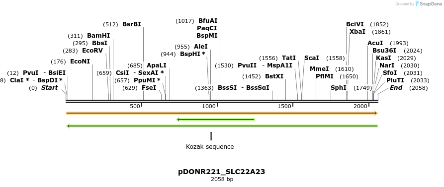 253376_map