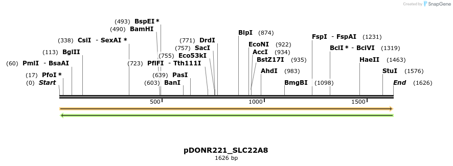253378_map