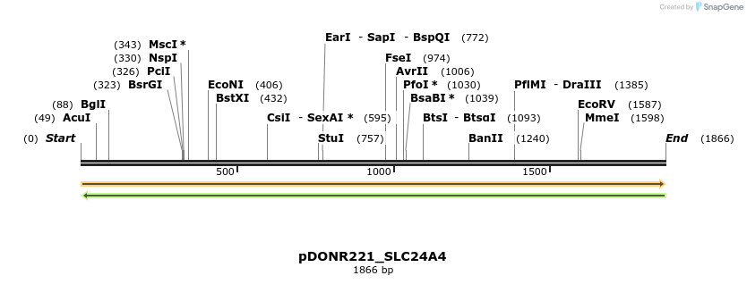 253380_map