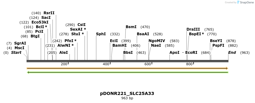 253386_map