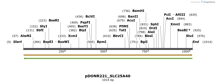 253388_map