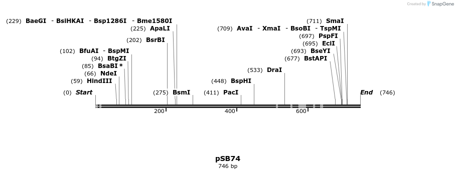 25339_map