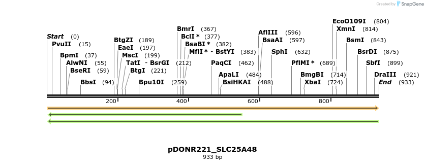 253390_map