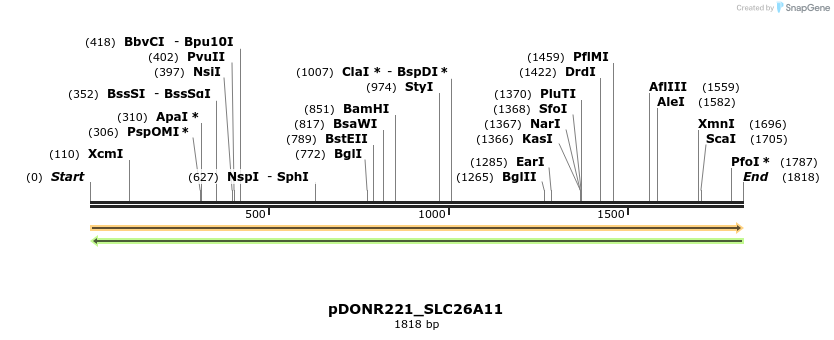 253392_map