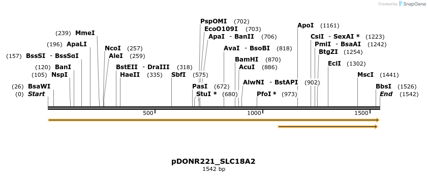 253394_map