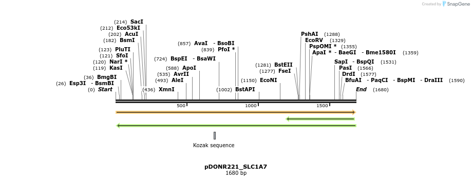 253396_map