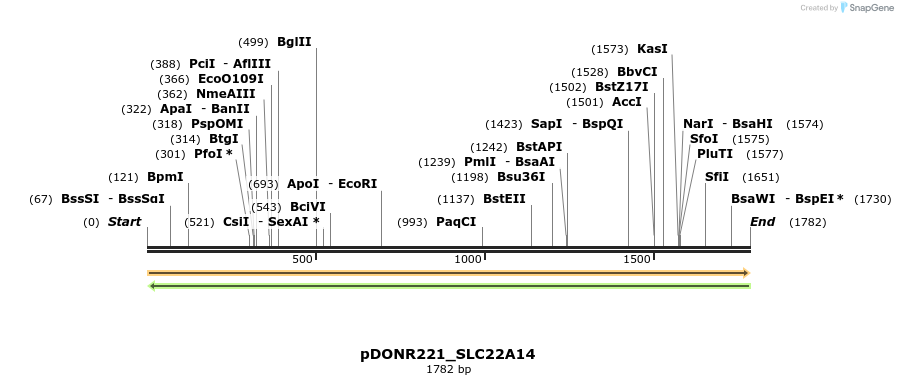 253398_map