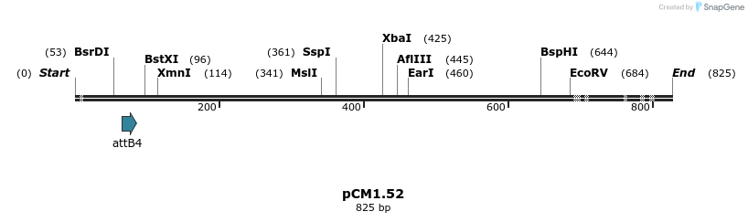 25340_map