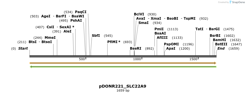 253402_map