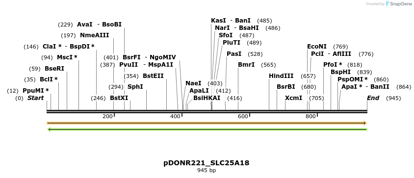 253406_map