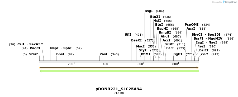 253410_map