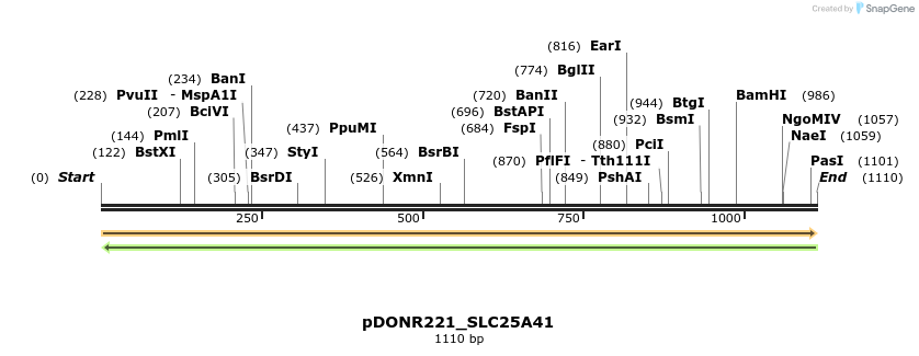 253412_map