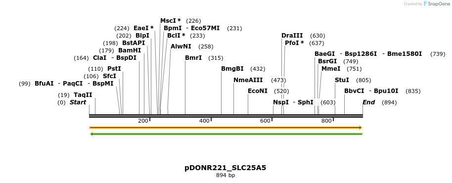 253414_map