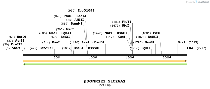 253416_map