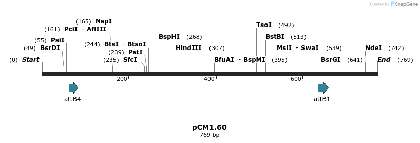 25342_map