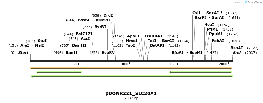 253420_map