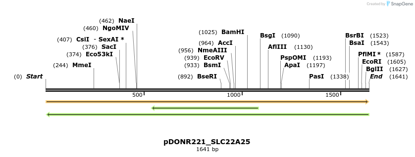 253424_map