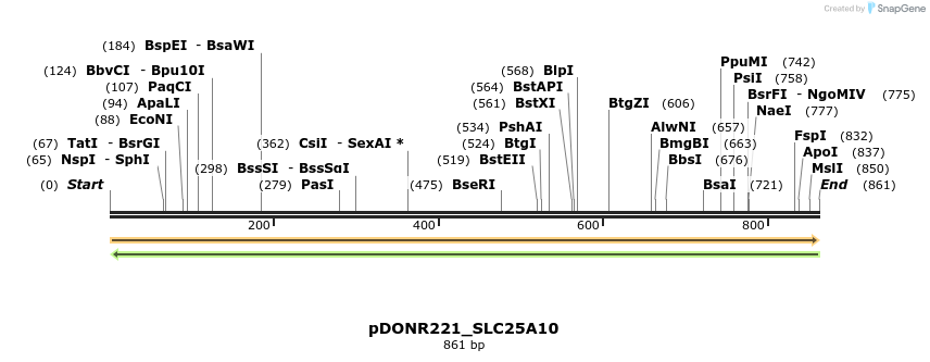 253428_map