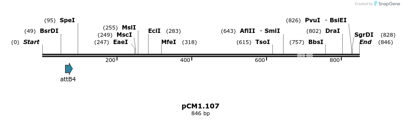 25343_map
