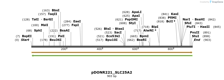 253430_map