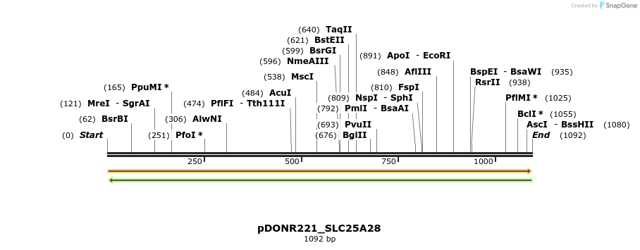 253432_map