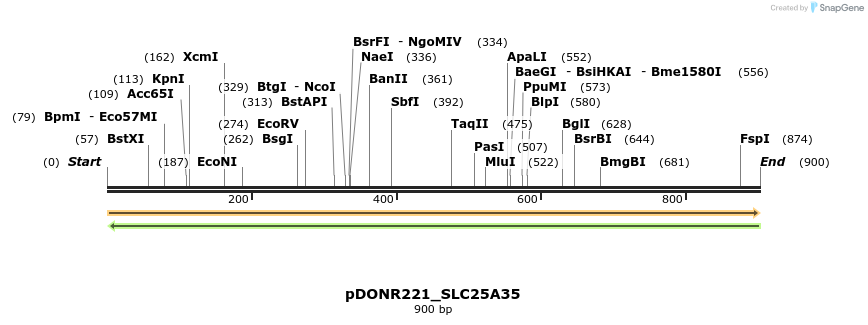 253434_map